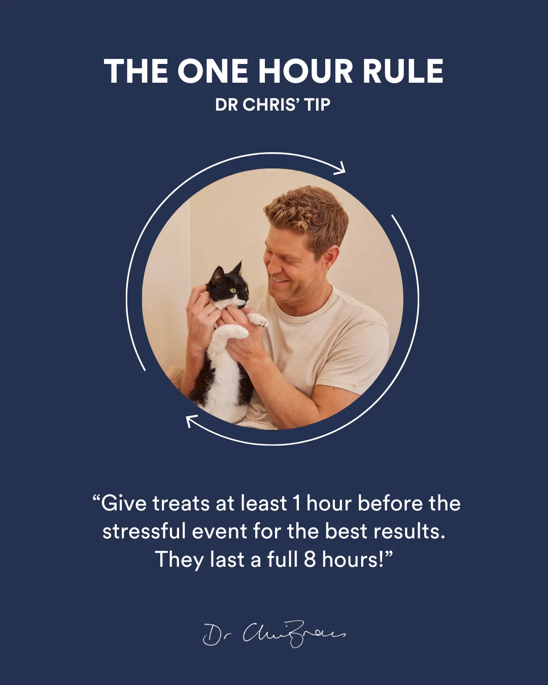 Calm + Collected Cat Treats - Image 4