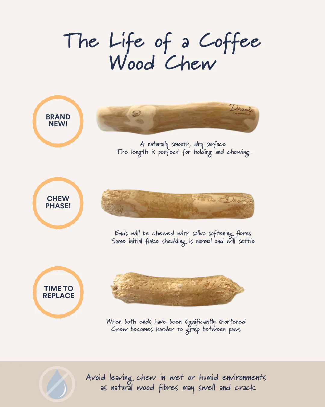 Coffee Wood Chew - Image 7