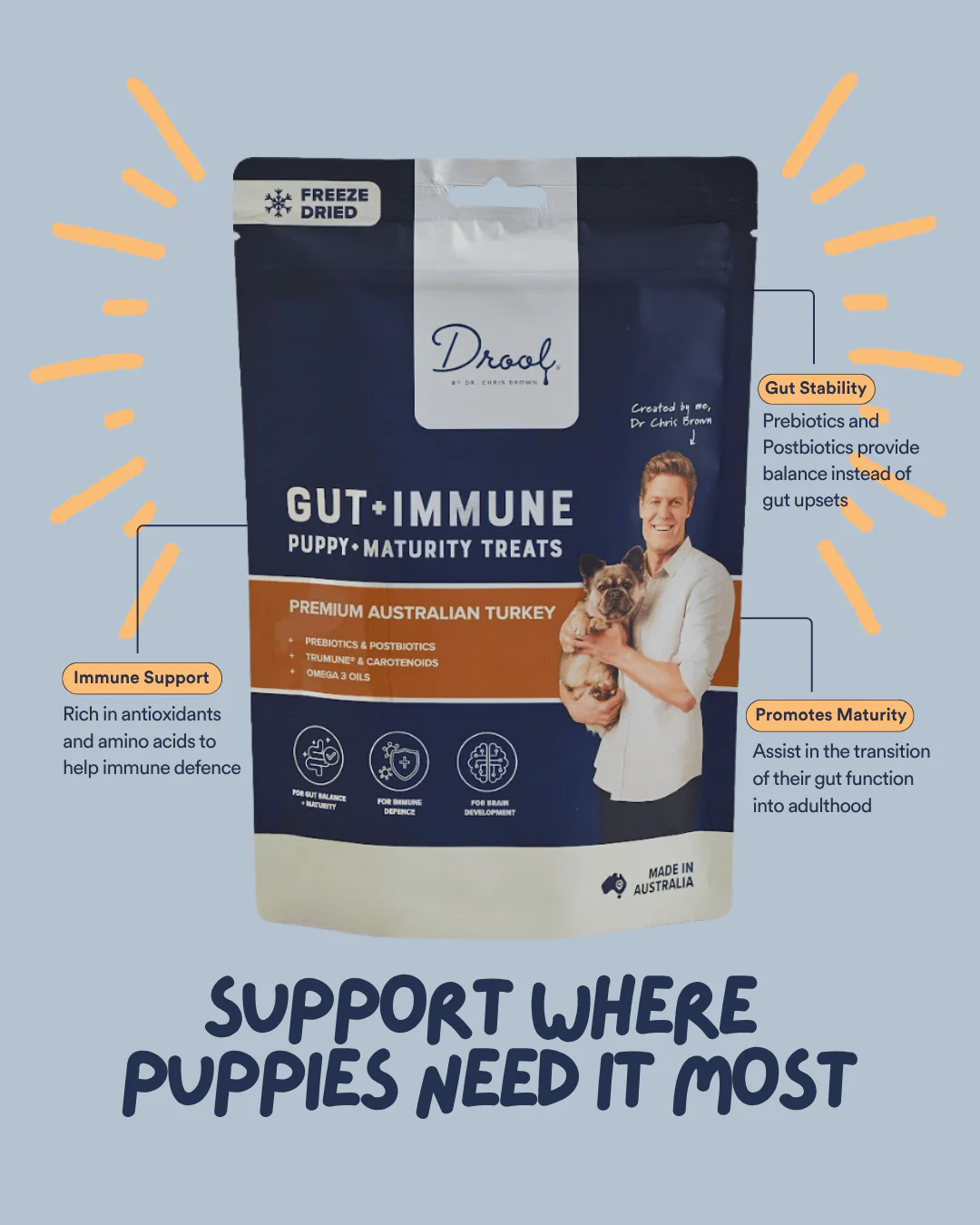 Gut + Immune Puppy and Maturity Treats - Image 2