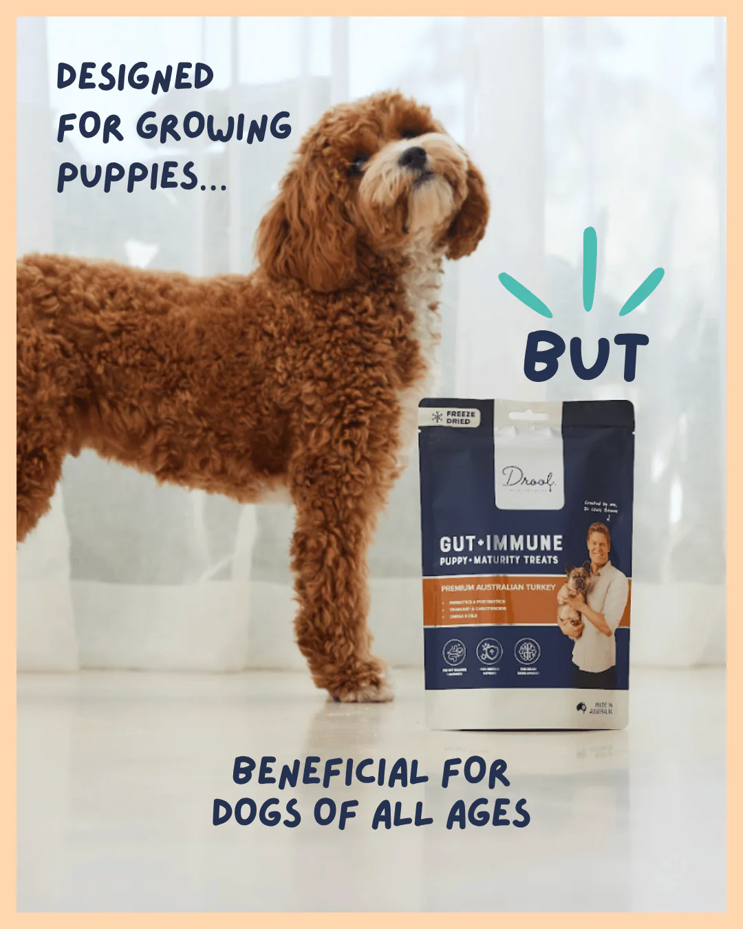 Gut + Immune Puppy and Maturity Treats - Image 7