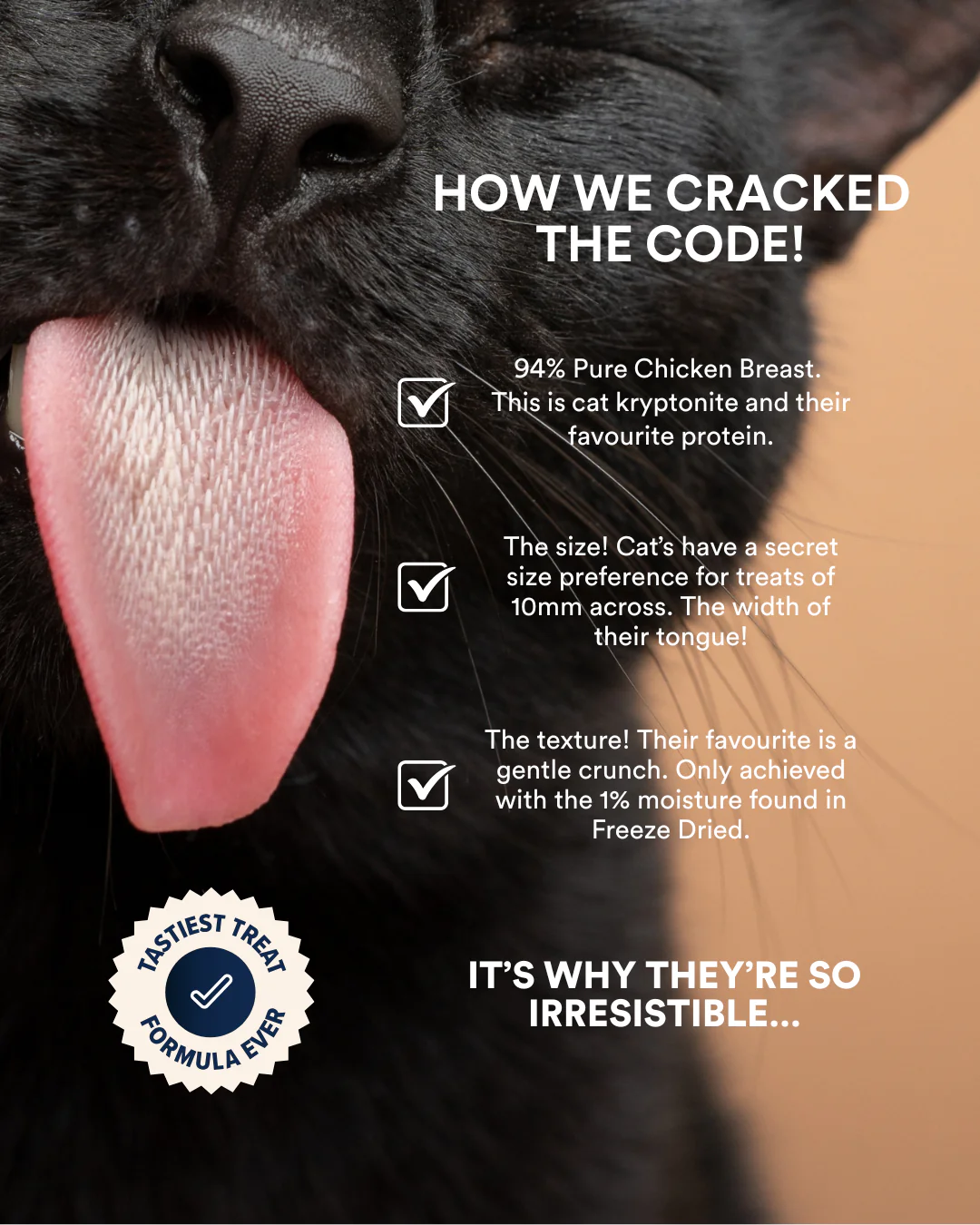 In-Betweeners Furball + Gland Freeze Dried Cat Treats - Image 2