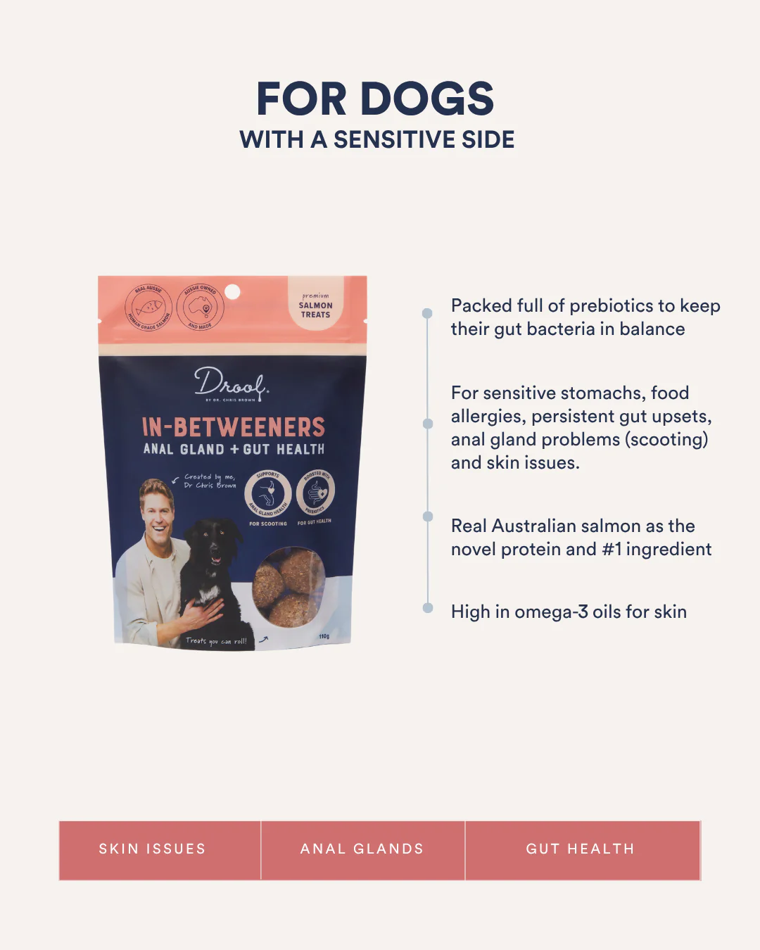 In-Betweeners Gland + Gut Health Treats Salmon - Image 3