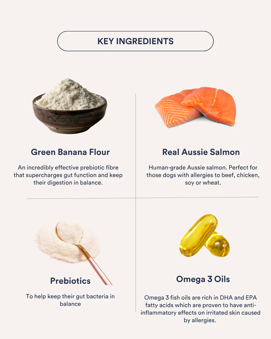 In-Betweeners Gland + Gut Health Treats Salmon - Image 5