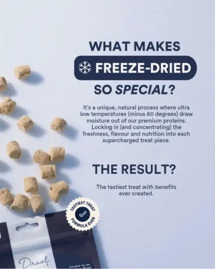 Longevity Brain + Joint Freeze Dried Dog Treats - Image 7