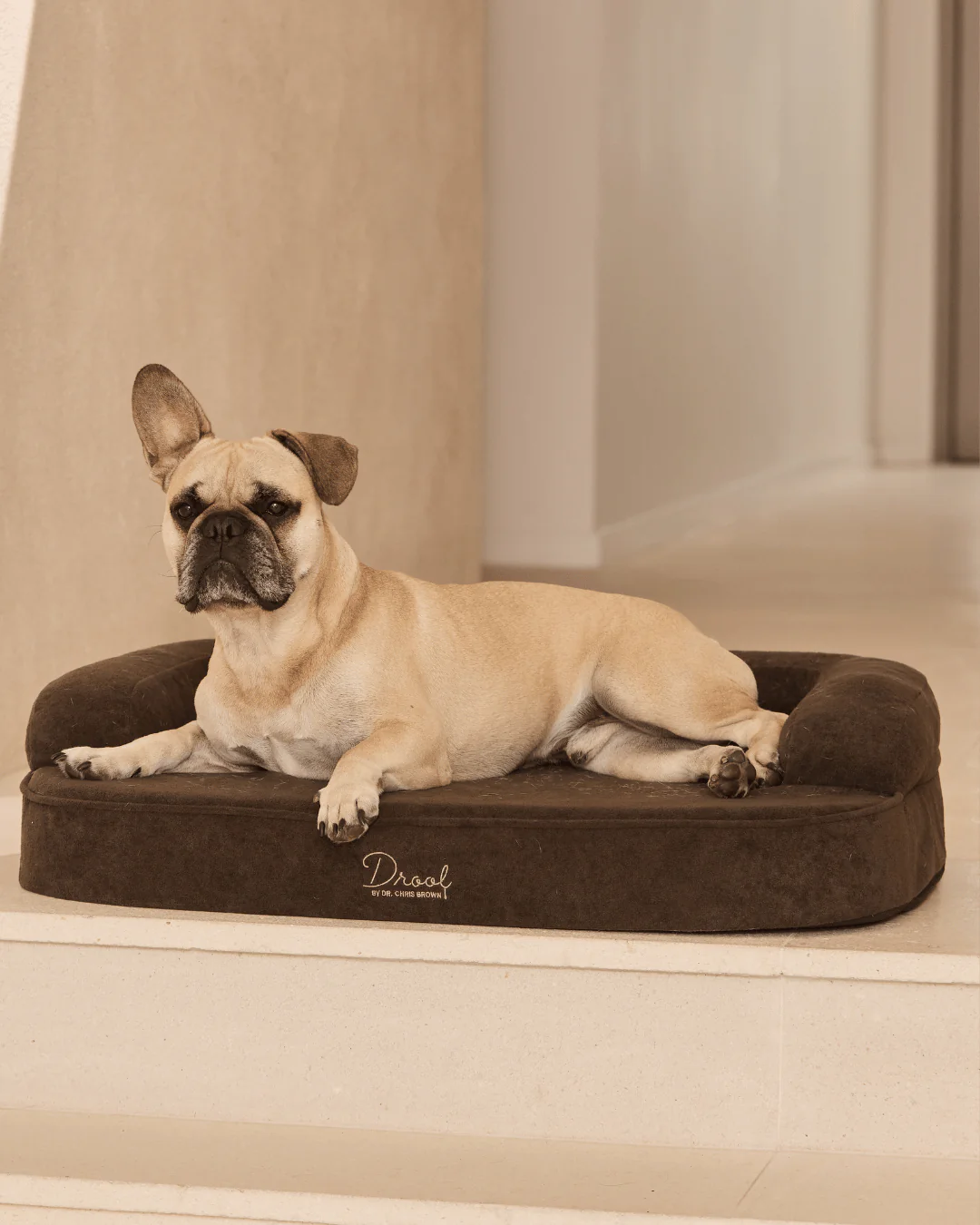 SpineAlign™ Dream Bed