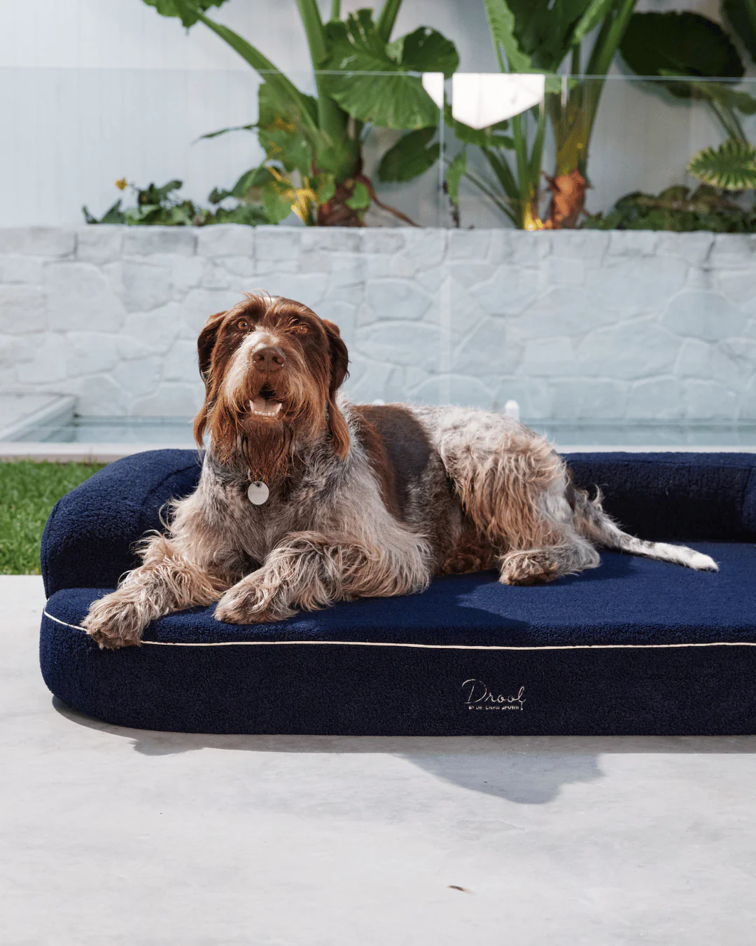 SpineAlign™ Dream Bed - Image 3