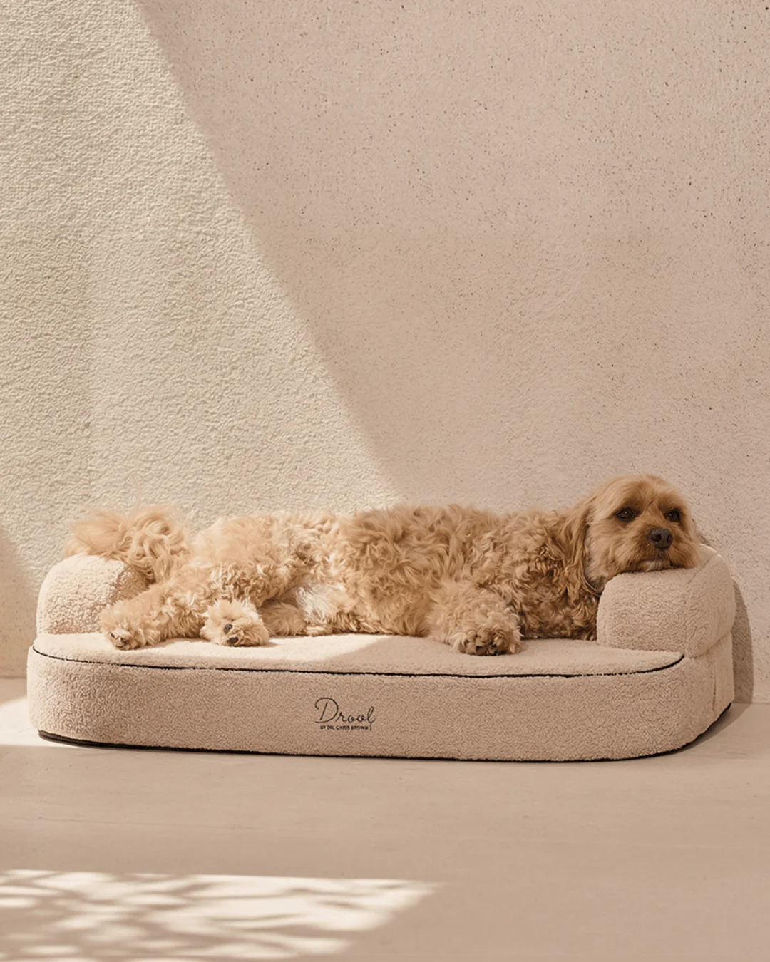 SpineAlign™ Dream Bed - Image 2