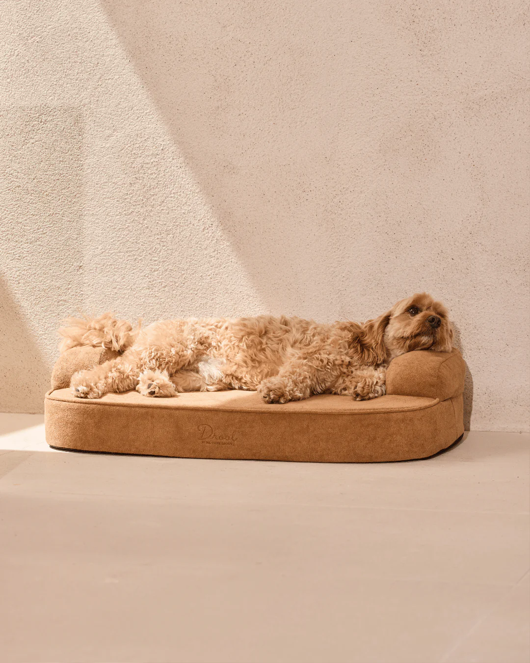 SpineAlign™ Dream Bed