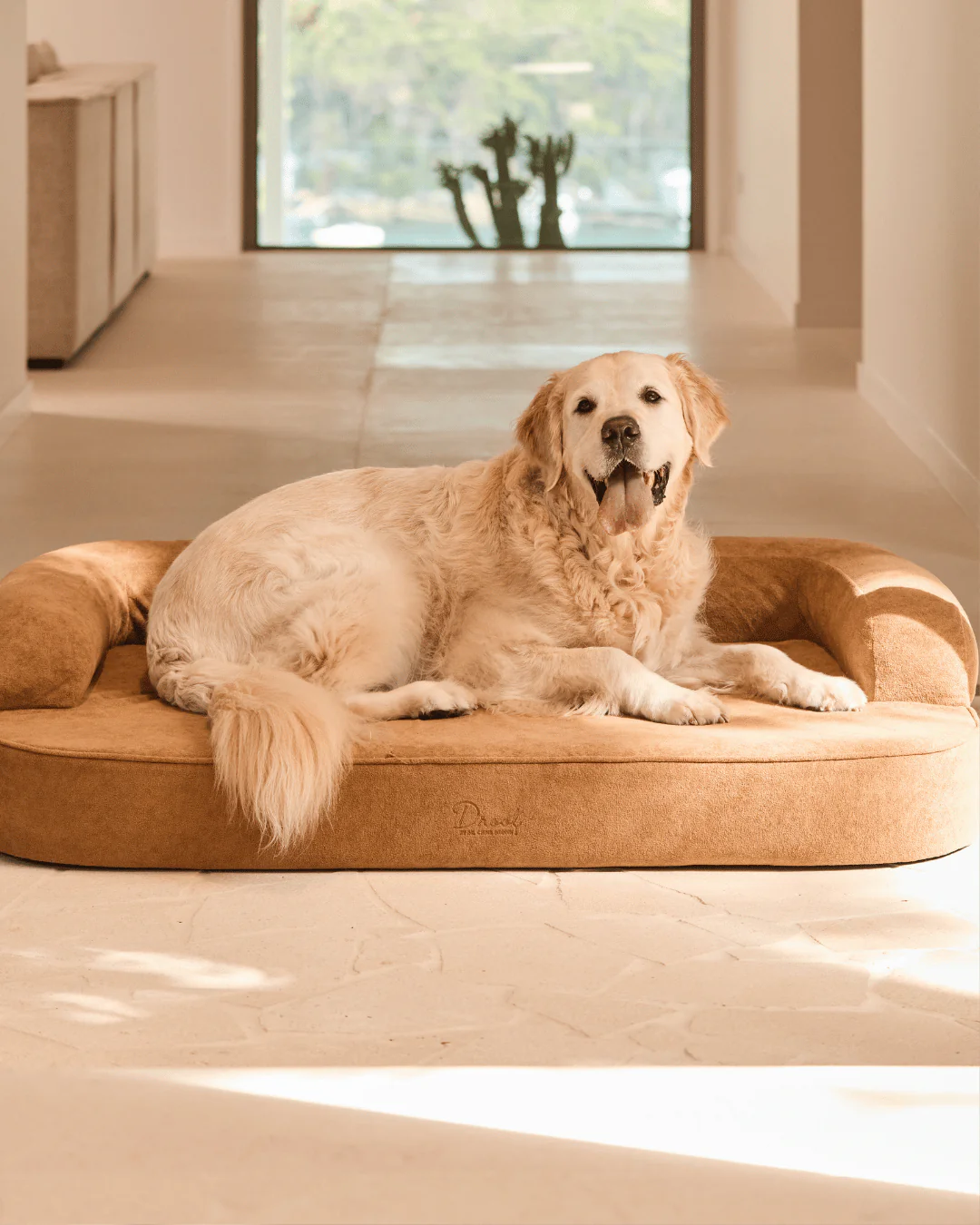 SpineAlign™ Dream Bed - Image 3