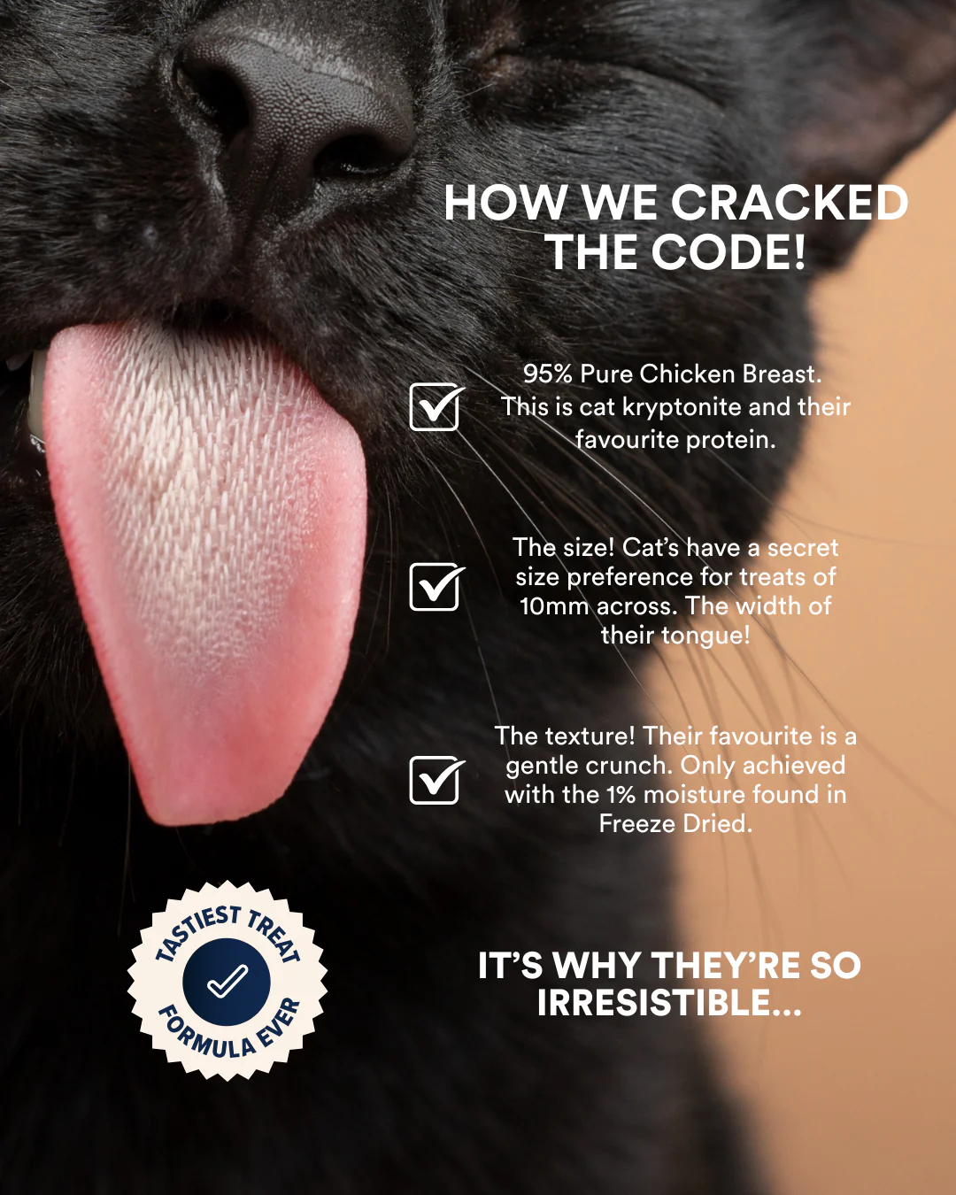Teeth + Breath Freeze Dried Cat Treats - Image 2