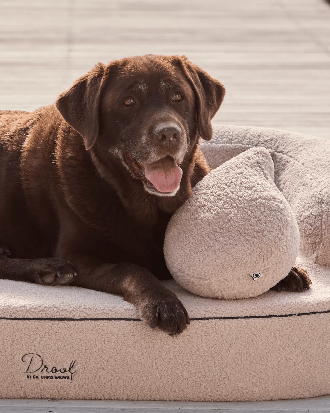 The Comfort Pillow (Oat) - Image 2