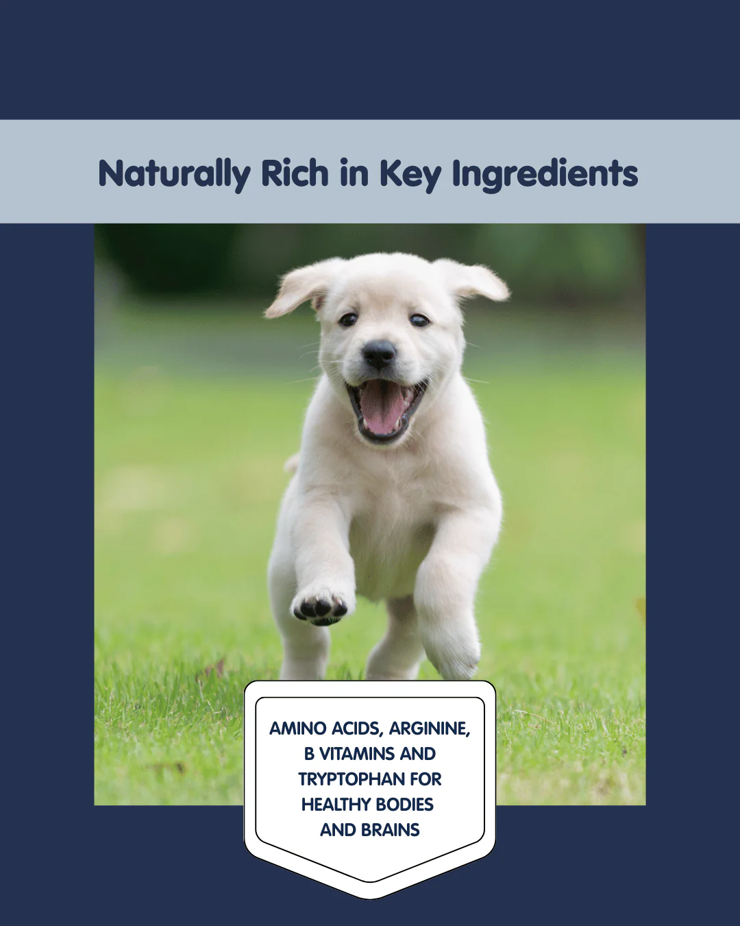 Ultimate Puppy Freeze Dried Treats - Image 4