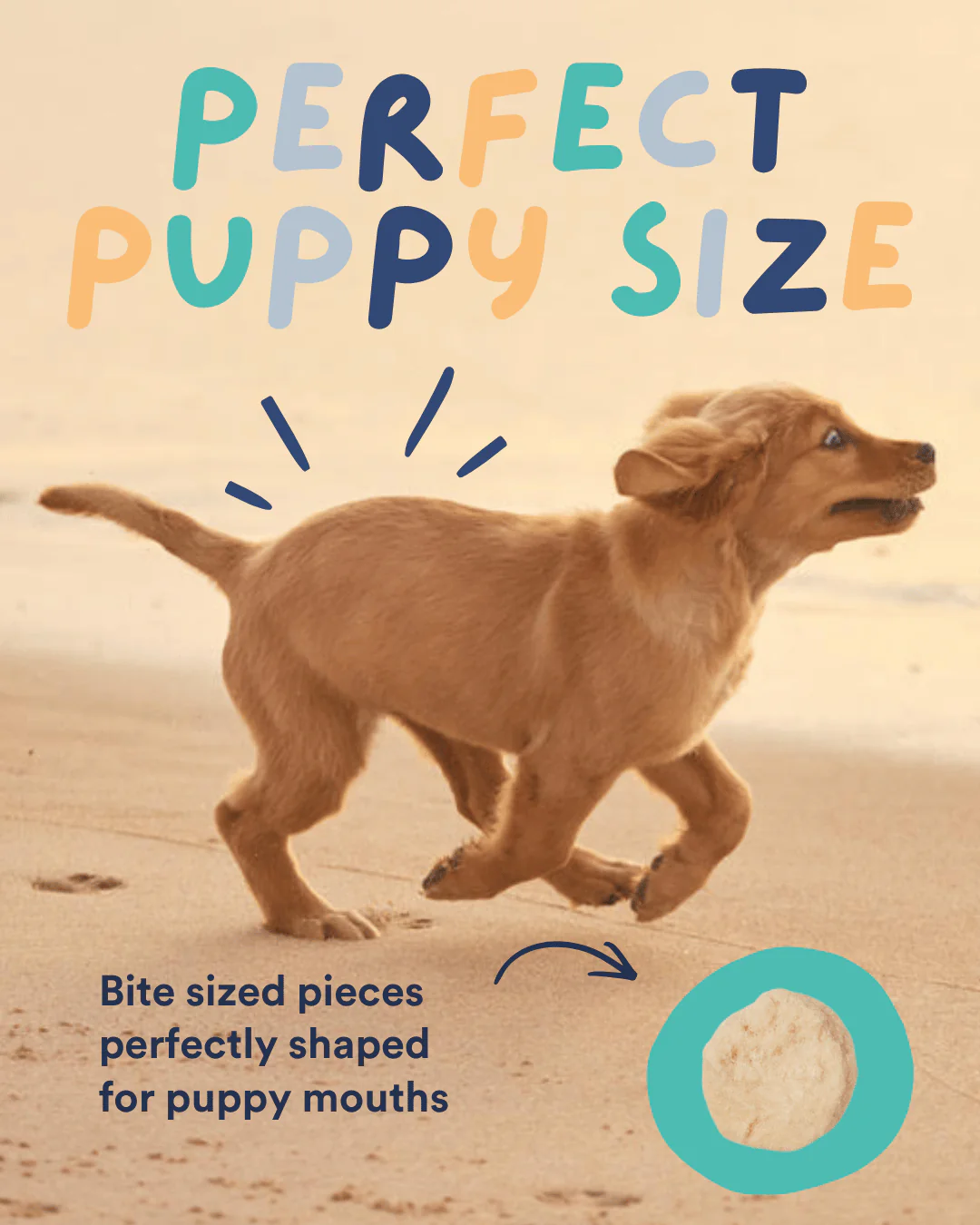 Ultimate Puppy Freeze Dried Treats - Image 7